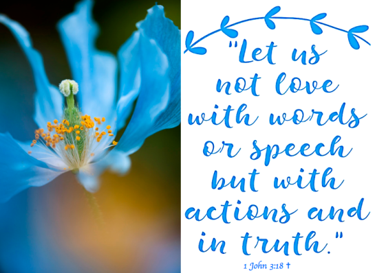 Screen Shot 2017-04-22 at 11.17.12 PM.png