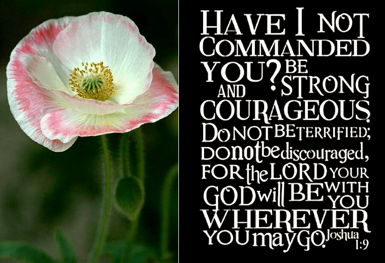 Screen Shot 2017-04-22 at 11.20.00 PM.png