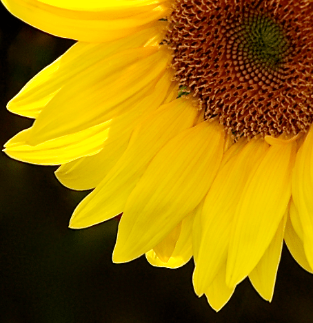 Screen Shot 2017-04-22 at 9.29.27 PM.png