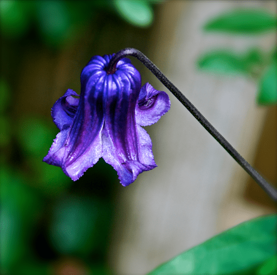 Screen Shot 2017-04-22 at 9.38.26 PM.png