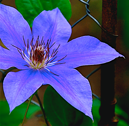 Screen Shot 2017-04-22 at 9.50.37 PM.png