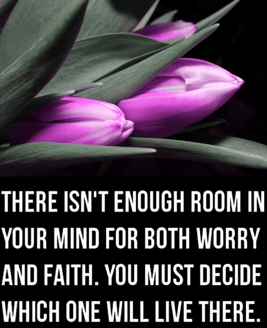 Screen Shot 2017-04-23 at 9.11.43 PM.png