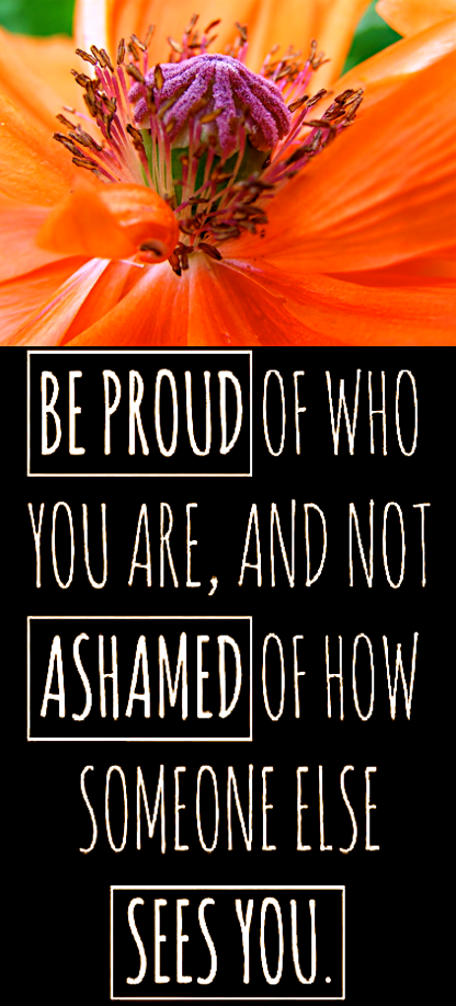 Screen Shot 2017-04-23 at 9.40.02 PM.png