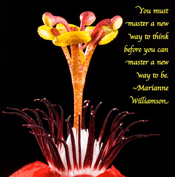 Screen Shot 2017-04-23 at 9.50.24 PM.png