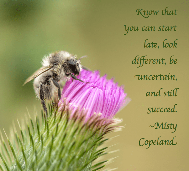 Screen Shot 2017-04-23 at 9.57.33 PM.png