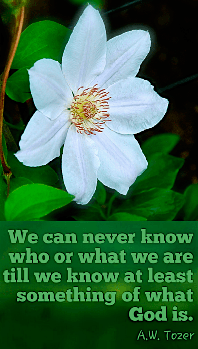 Screen Shot 2017-04-26 at 10.03.38 PM.png