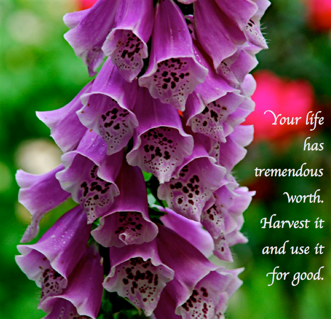 Screen Shot 2017-04-26 at 10.19.16 PM.png