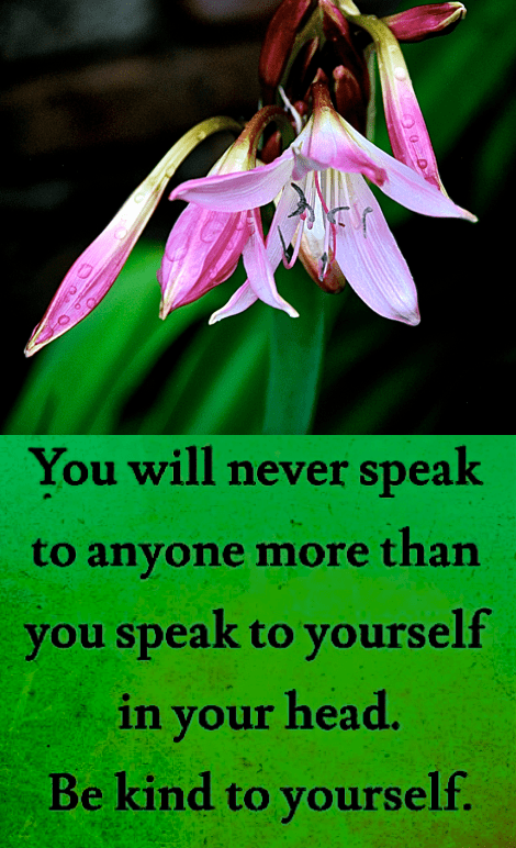 Screen Shot 2017-04-26 at 10.32.30 PM.png