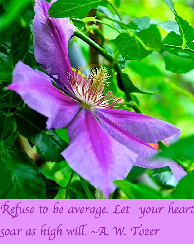 Screen Shot 2017-04-26 at 2.16.40 PM.png