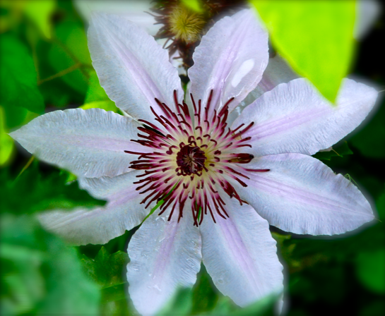 Screen Shot 2017-04-26 at 4.11.12 PM.png