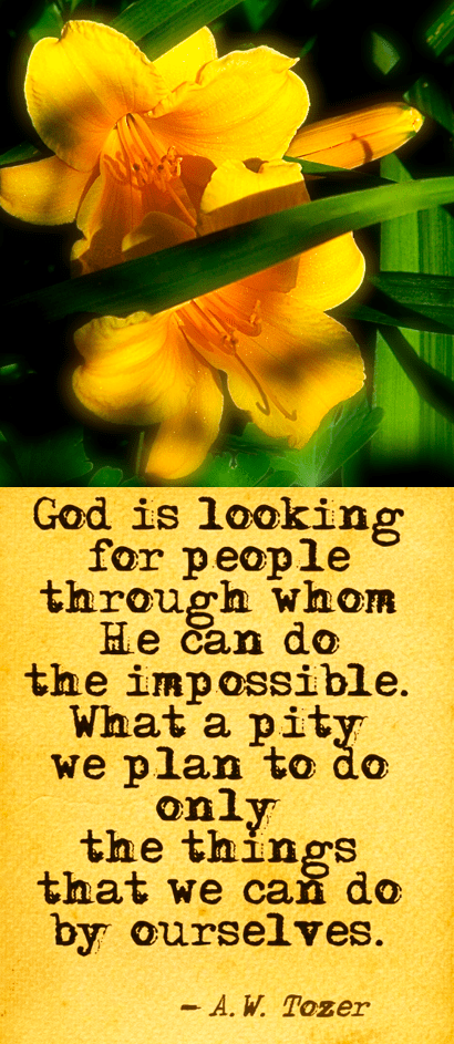 Screen Shot 2017-04-26 at 9.48.00 PM.png