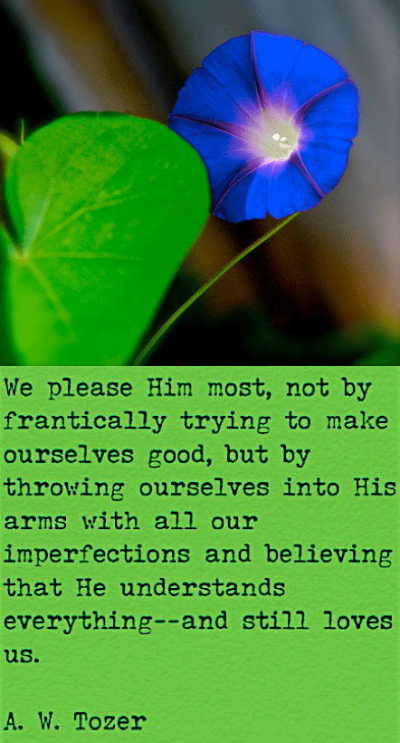 Screen Shot 2017-04-26 at 9.55.12 PM.png