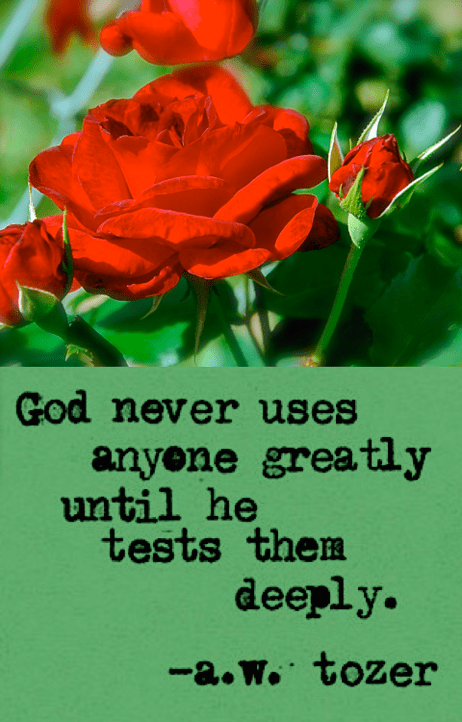 Screen Shot 2017-04-26 at 9.59.24 PM.png