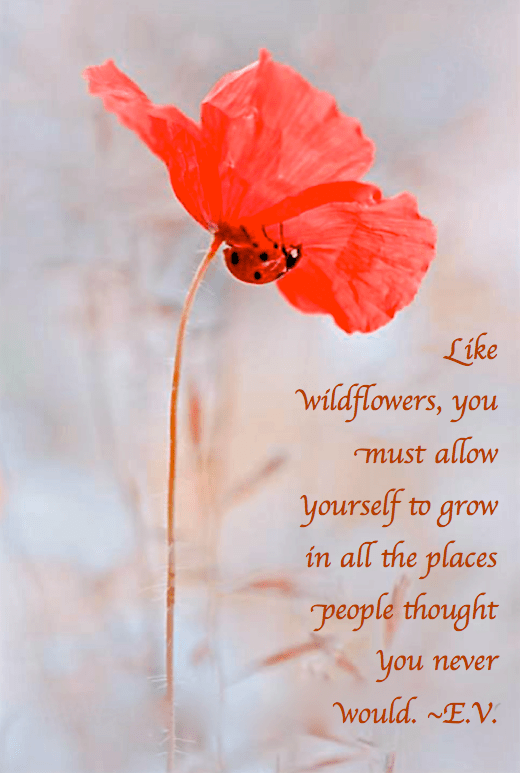 Screen Shot 2017-04-28 at 8.44.11 PM.png