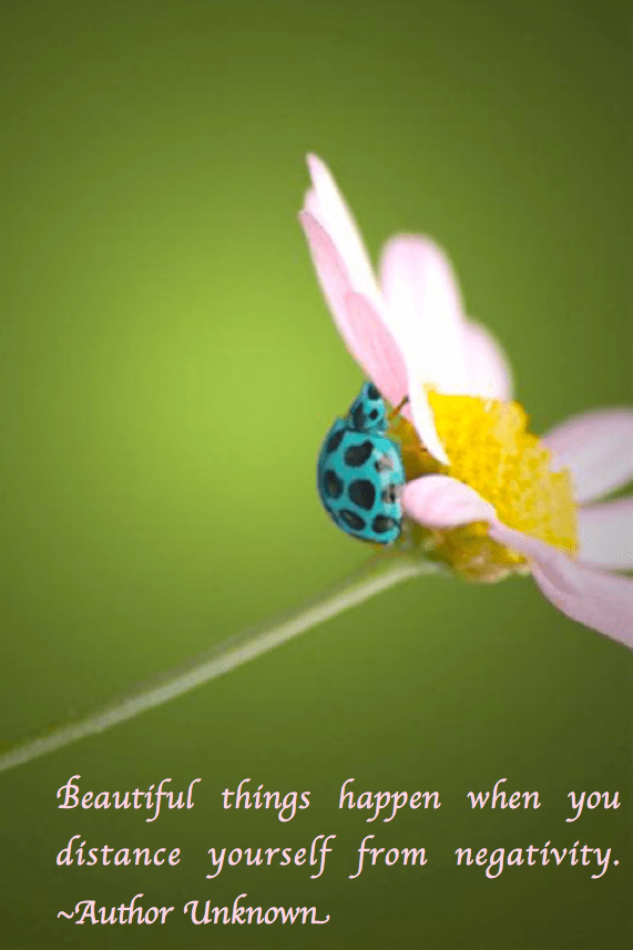 Screen Shot 2017-04-28 at 8.56.53 PM.png