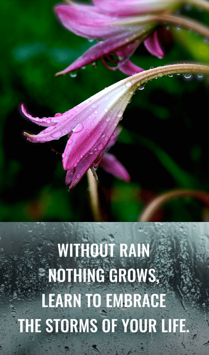 Screen Shot 2017-04-28 at 8.59.40 PM.png