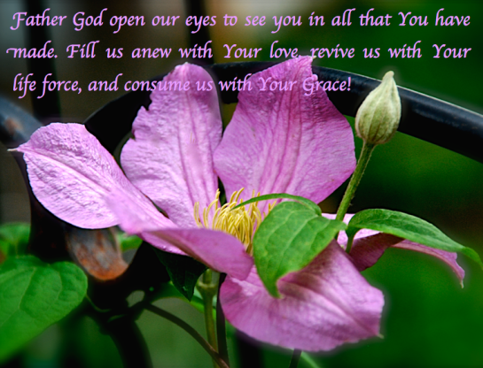 Screen Shot 2017-04-29 at 10.29.35 PM.png