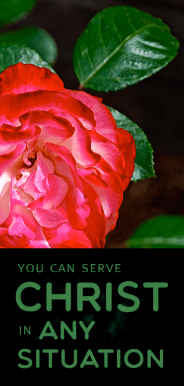 Screen Shot 2017-04-29 at 10.33.00 PM.png