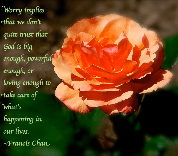 Screen Shot 2017-04-29 at 10.37.43 PM.png