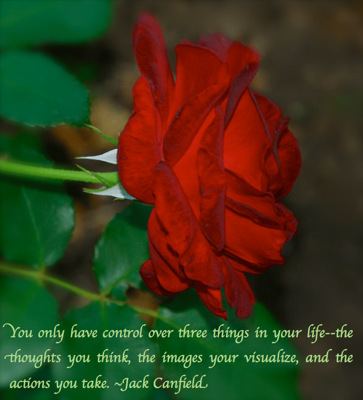 Screen Shot 2017-04-29 at 10.50.39 PM.png