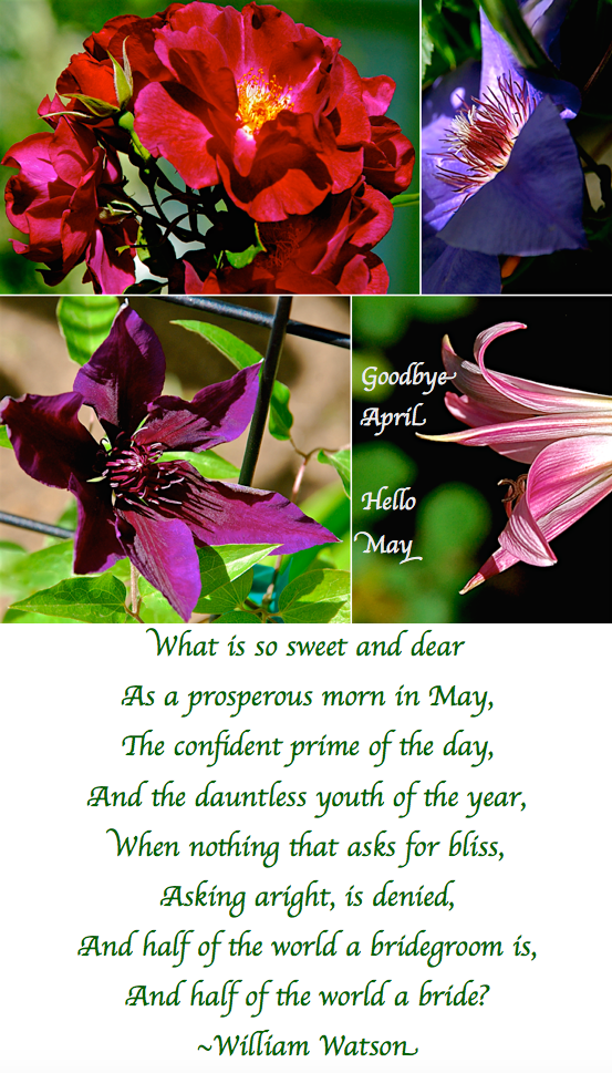 Screen Shot 2017-04-30 at 10.56.44 PM.png