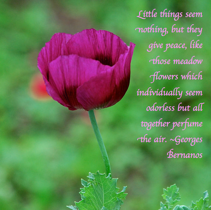 Screen Shot 2017-05-01 at 9.42.26 PM.png