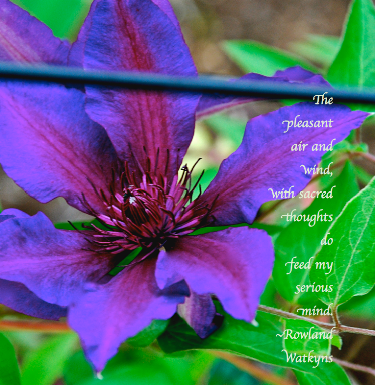 Screen Shot 2017-05-01 at 9.47.29 PM.png