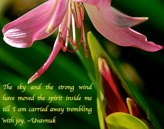 Screen Shot 2017-05-01 at 9.53.00 PM.png