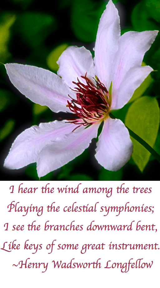 Screen Shot 2017-05-01 at 9.58.34 PM.png