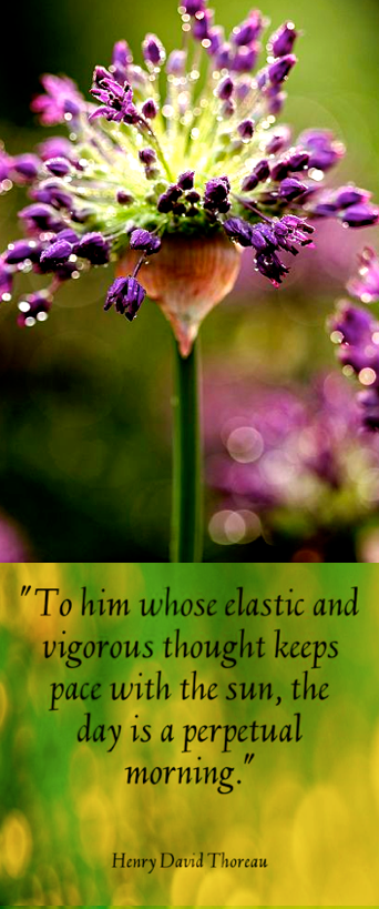 Screen Shot 2017-05-02 at 10.46.08 PM.png