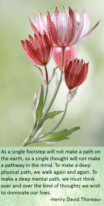 Screen Shot 2017-05-02 at 10.47.55 PM.png