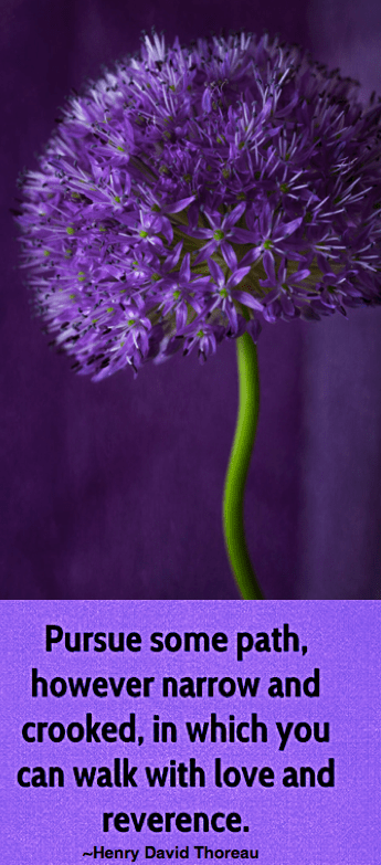 Screen Shot 2017-05-02 at 10.51.46 PM.png