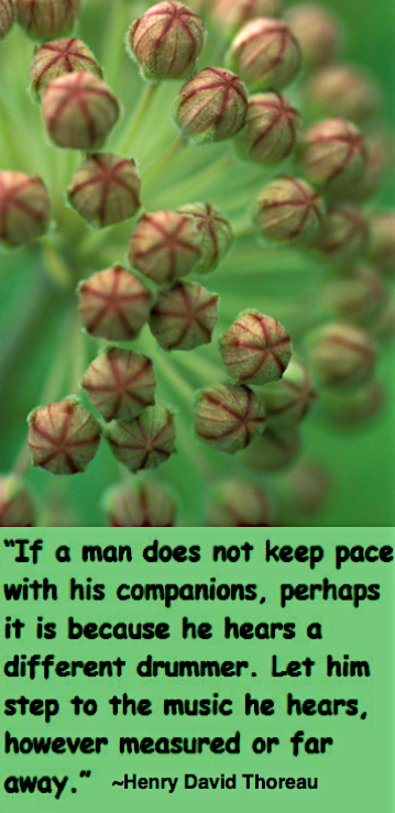 Screen Shot 2017-05-02 at 10.57.16 PM.png