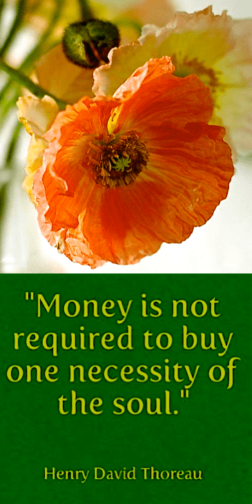 Screen Shot 2017-05-02 at 11.01.34 PM.png