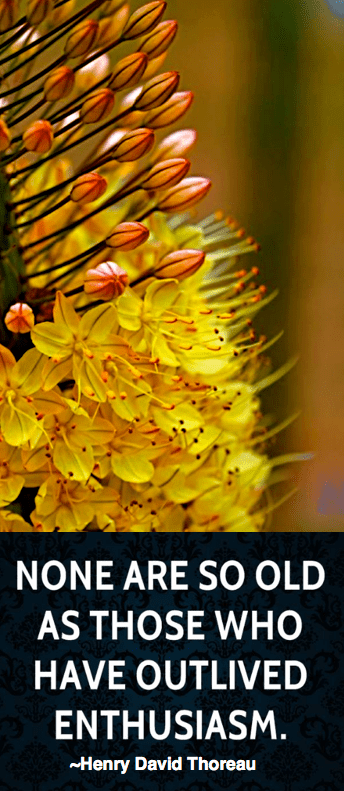 Screen Shot 2017-05-02 at 11.05.07 PM.png