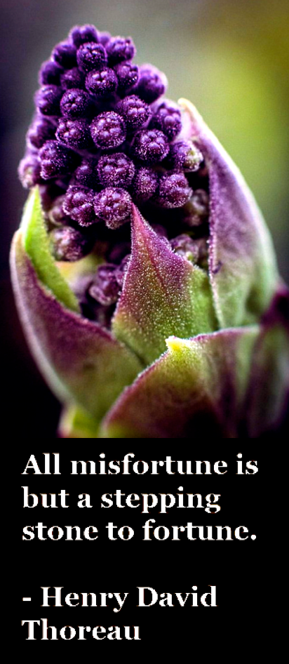 Screen Shot 2017-05-02 at 11.09.31 PM.png