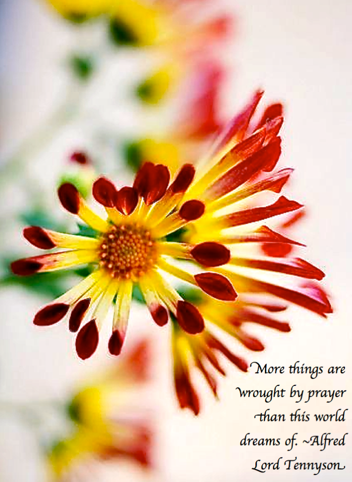 Screen Shot 2017-05-02 at 11.18.01 PM.png