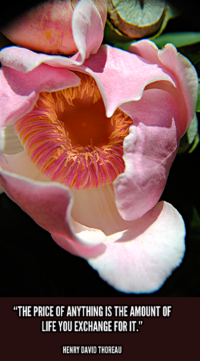 Screen Shot 2017-05-02 at 9.42.23 PM.png