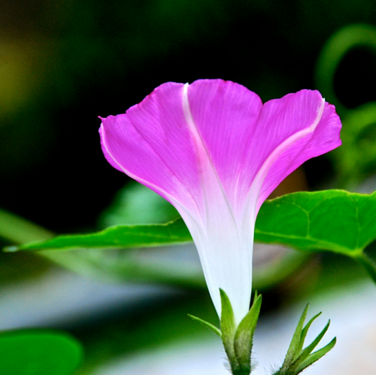 Screen Shot 2017-05-03 at 10.05.13 PM.png