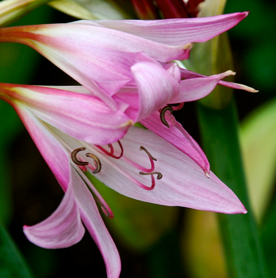 Screen Shot 2017-05-03 at 10.23.02 PM.png