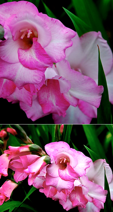 Screen Shot 2017-05-03 at 10.33.14 PM.png