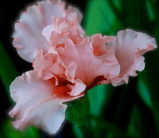 Screen Shot 2017-05-05 at 8.01.53 PM.png