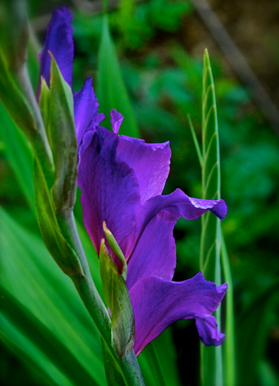 Screen Shot 2017-05-05 at 8.29.13 PM.png