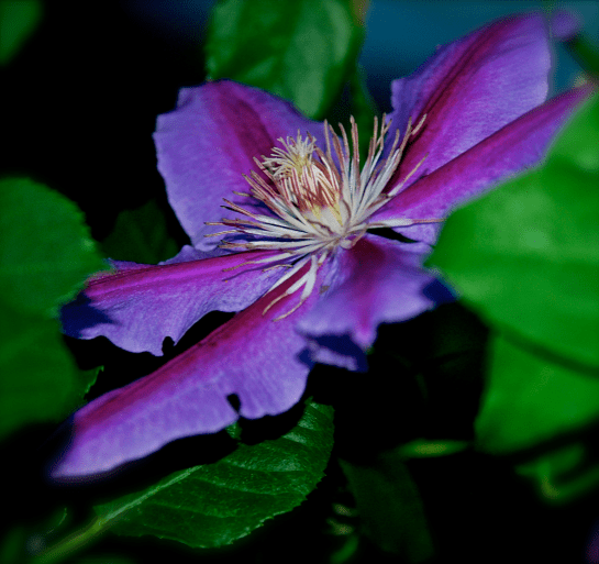 Screen Shot 2017-05-05 at 8.32.03 PM.png