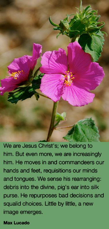 Screen Shot 2017-05-06 at 10.43.34 PM.png