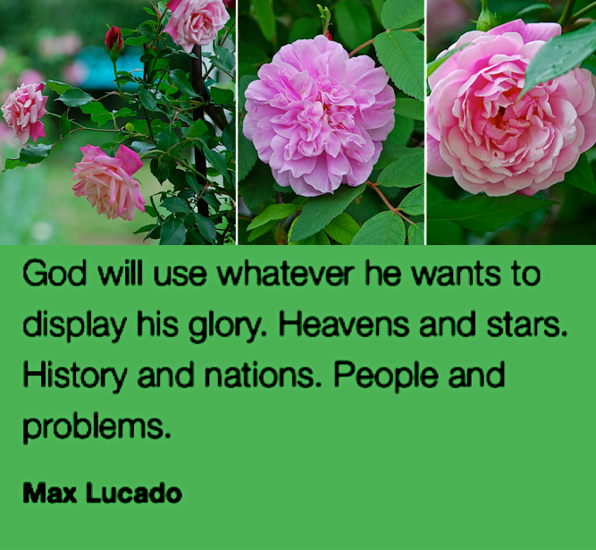 Screen Shot 2017-05-06 at 10.49.53 PM.png