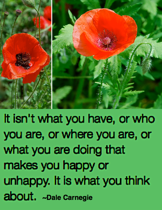 Screen Shot 2017-05-06 at 11.14.40 PM.png