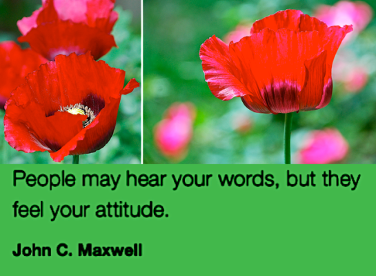 Screen Shot 2017-05-06 at 9.12.10 PM.png