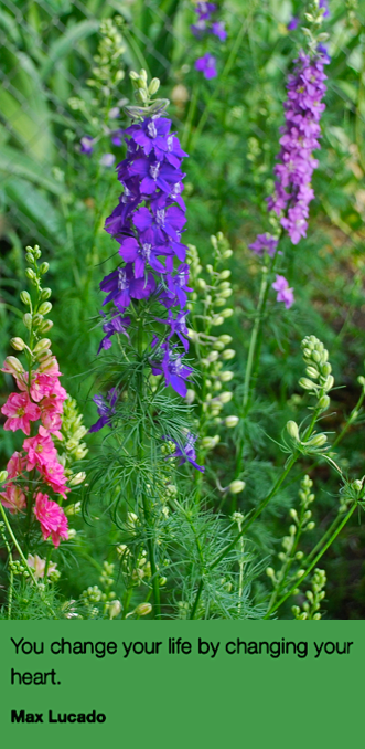 Screen Shot 2017-05-06 at 9.14.51 PM.png