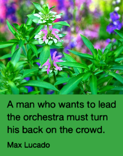 Screen Shot 2017-05-06 at 9.20.01 PM.png